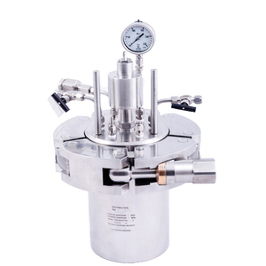High pressure reactor RVD-3-2000
